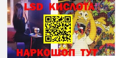 ешки Можга