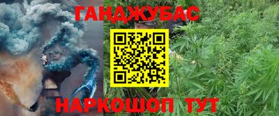 ешки Можга