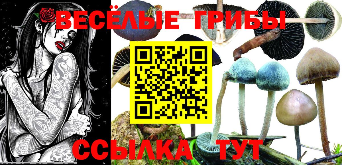 Галлюциногенные грибы мицелий Выкса