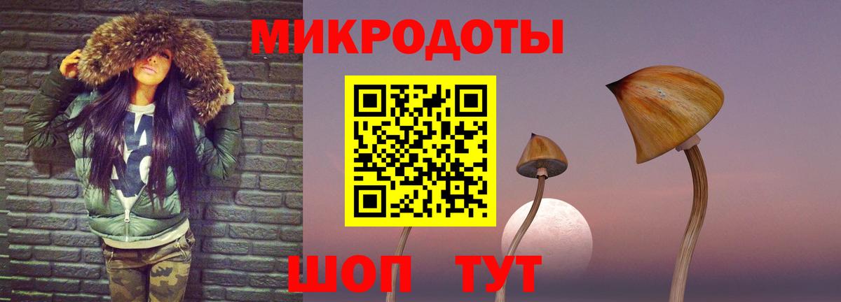 Выкса  Псилоцибиновые грибы прущие грибы  Вход с VPN 